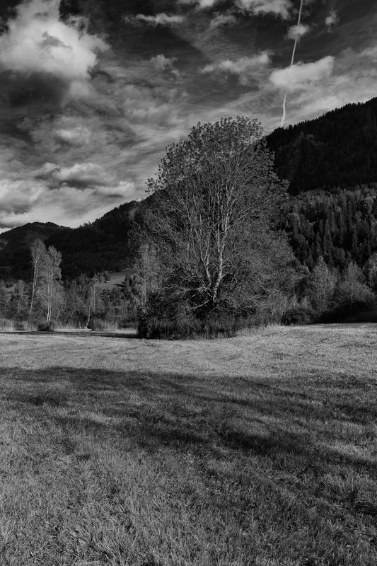 castrisch